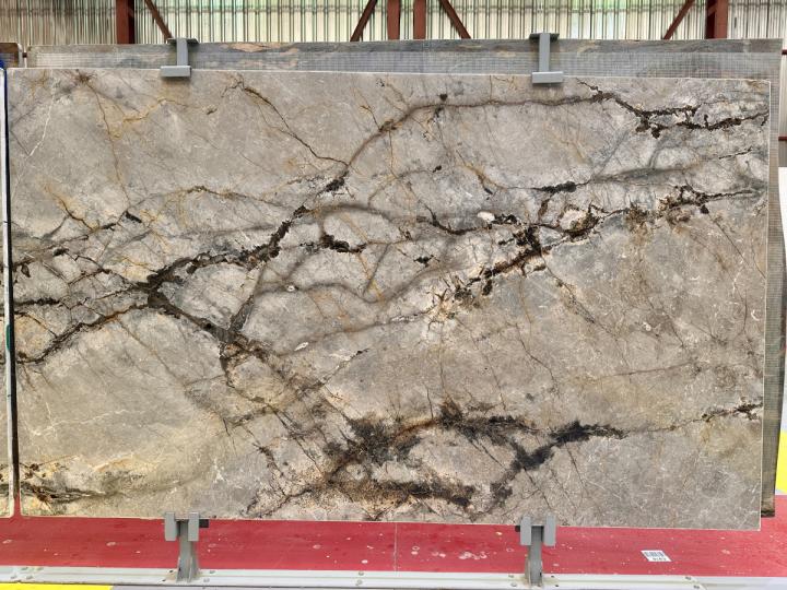 Silver Root 40065-2