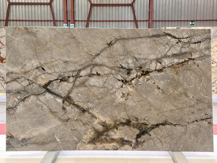 Silver Root 40065-3