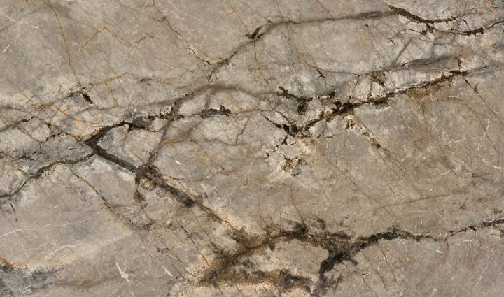 Silver Root 40065-3