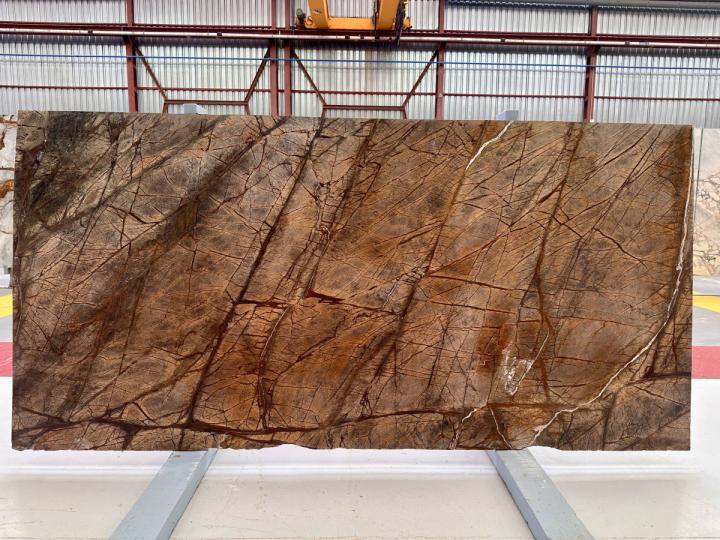 Rain Forest Brown 40092-1